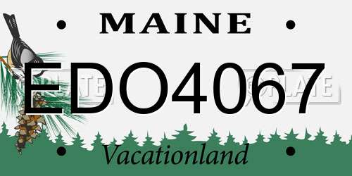 EDO4067 Maine License Plate
