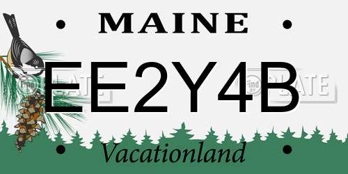 EE2Y4B Maine License Plate