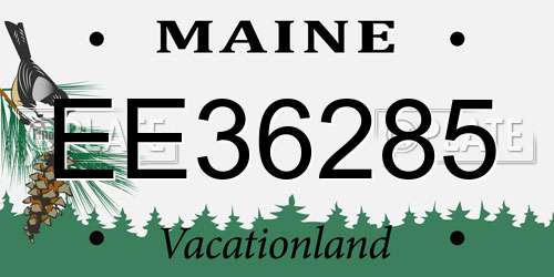 EE36285 Maine License Plate
