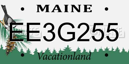 EE3G255 Maine License Plate