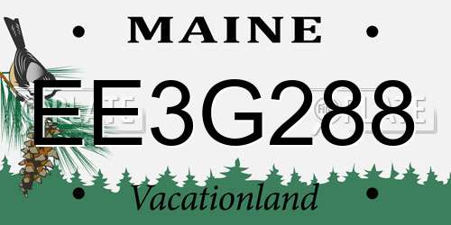 EE3G288 Maine License Plate