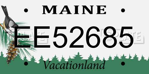 EE52685 Maine License Plate
