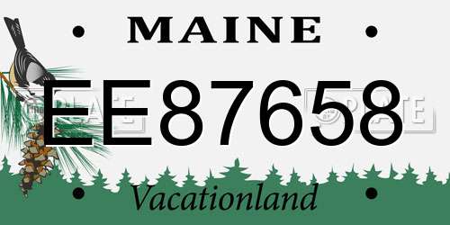EE87658 Maine License Plate