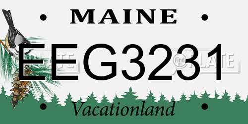 EEG3231 Maine License Plate
