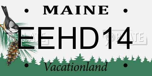 EEHD14 Maine License Plate