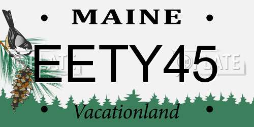 EETY45 Maine License Plate
