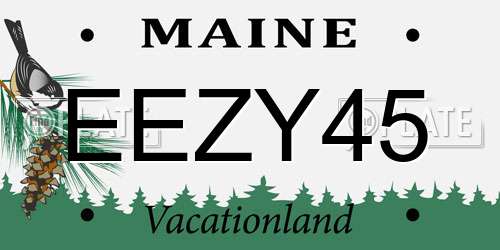 EEZY45 Maine License Plate