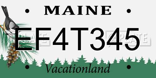 EF4T345 Maine License Plate
