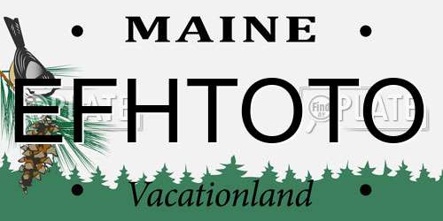 EFHTOTO Maine License Plate