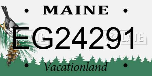 EG24291 Maine License Plate