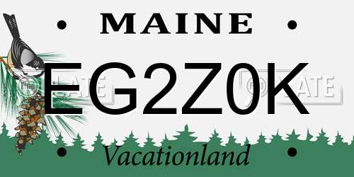 EG2Z0K Maine License Plate