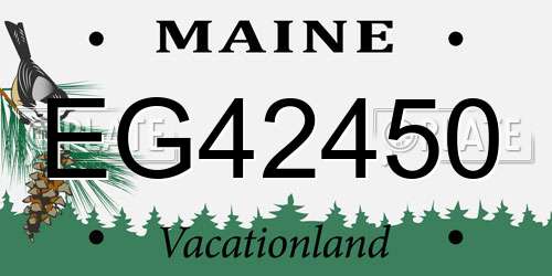 EG42450 Maine License Plate