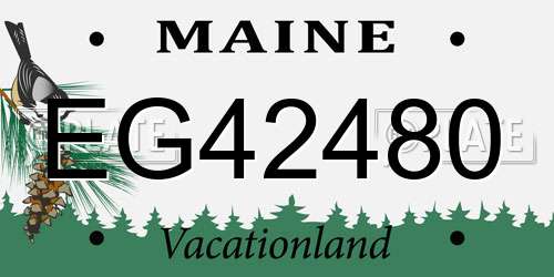 EG42480 Maine License Plate