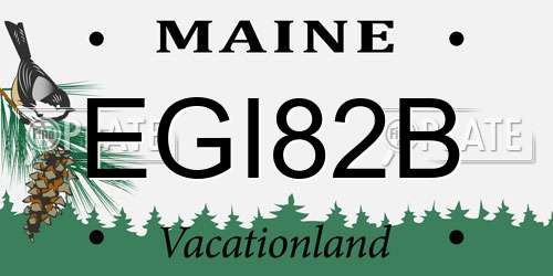 EGI82B Maine License Plate