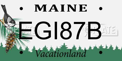EGI87B Maine License Plate