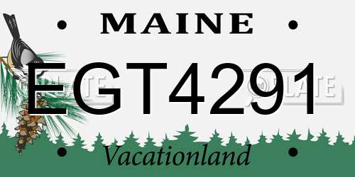 EGT4291 Maine License Plate
