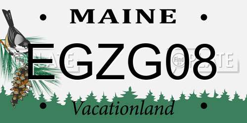 EGZG08 Maine License Plate