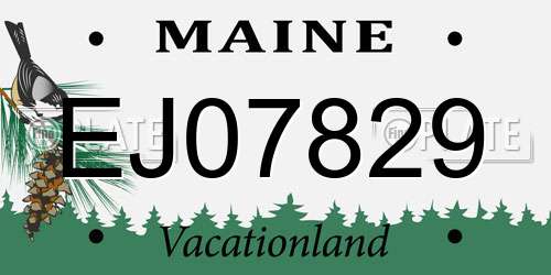 EJ07829 Maine License Plate