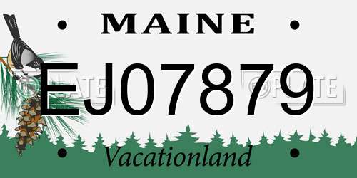 EJ07879 Maine License Plate