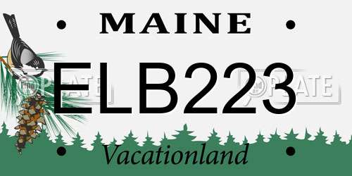 ELB223 Maine License Plate