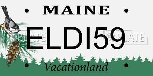 ELDI59 Maine License Plate