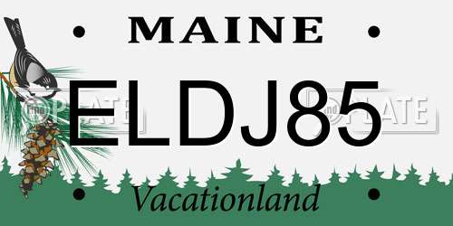 ELDJ85 Maine License Plate