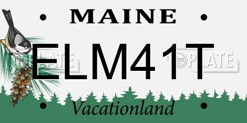 ELM41T Maine License Plate