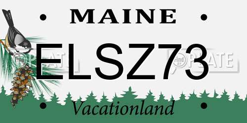 ELSZ73 Maine License Plate