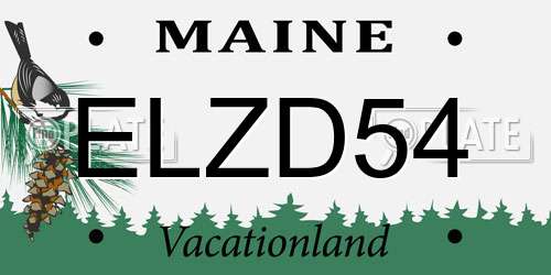 ELZD54 Maine License Plate