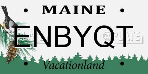 ENBYQT Maine License Plate