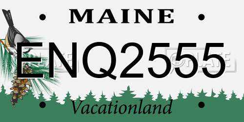 ENQ2555 Maine License Plate
