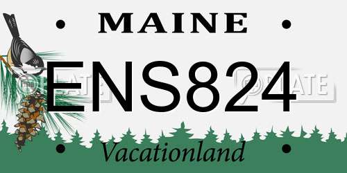 ENS824 Maine License Plate