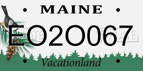 EO2O067 Maine License Plate