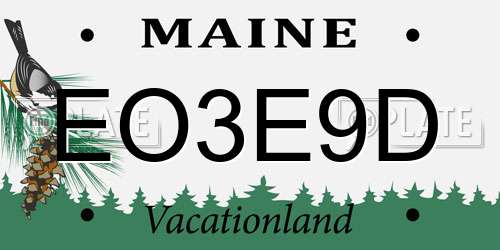 EO3E9D Maine License Plate