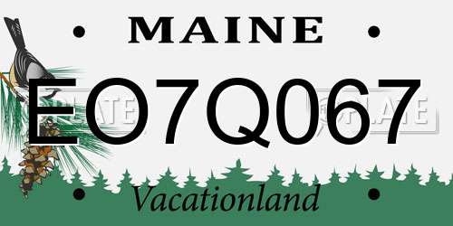 EO7Q067 Maine License Plate