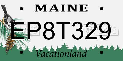 EP8T329 Maine License Plate