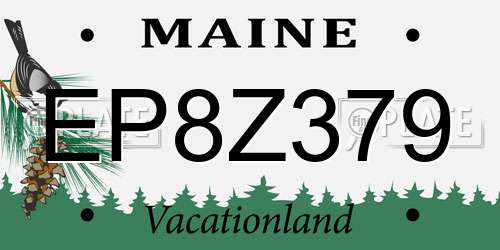 EP8Z379 Maine License Plate