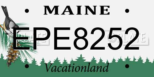 EPE8252 Maine License Plate