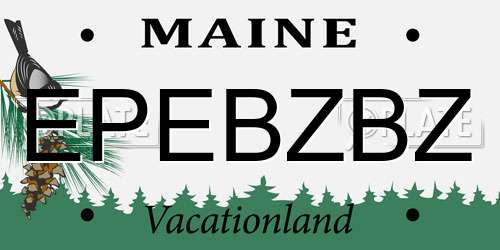 EPEBZBZ Maine License Plate