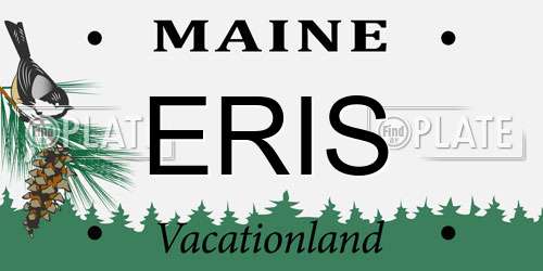 ERIS Maine License Plate