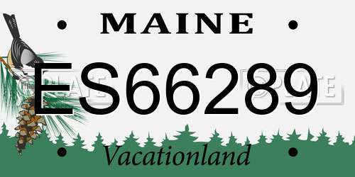 ES66289 Maine License Plate