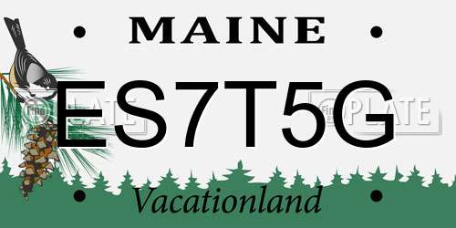 ES7T5G Maine License Plate