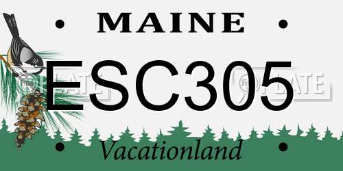 ESC305 Maine License Plate
