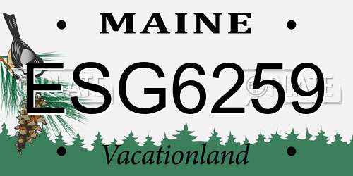 ESG6259 Maine License Plate