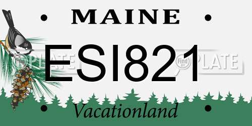 ESI821 Maine License Plate