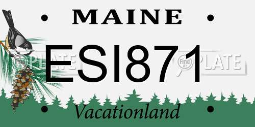 ESI871 Maine License Plate