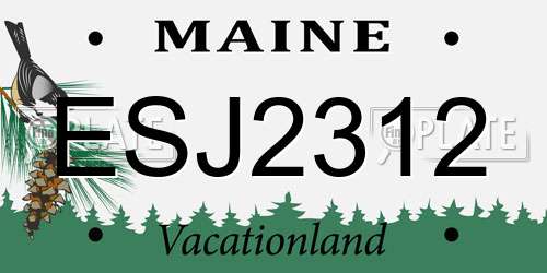 ESJ2312 Maine License Plate