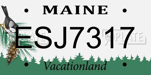 ESJ7317 Maine License Plate