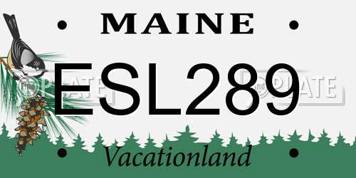 ESL289 Maine License Plate