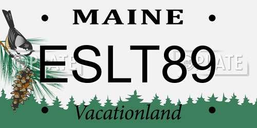 ESLT89 Maine License Plate